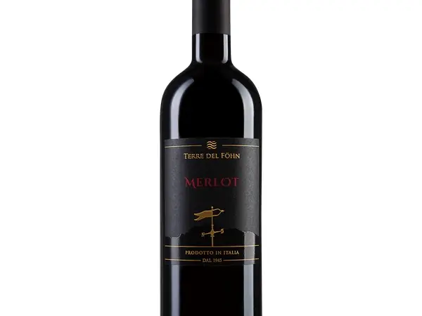 Vinho Terre del Fhn Merlot 750ml - 2018 (Terre del Fhn)